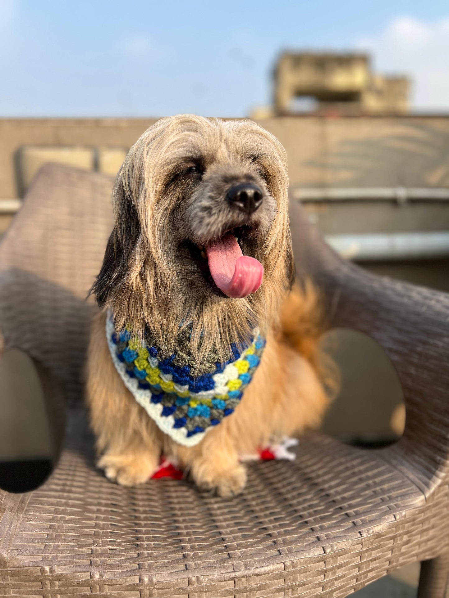 Colorful Bandana