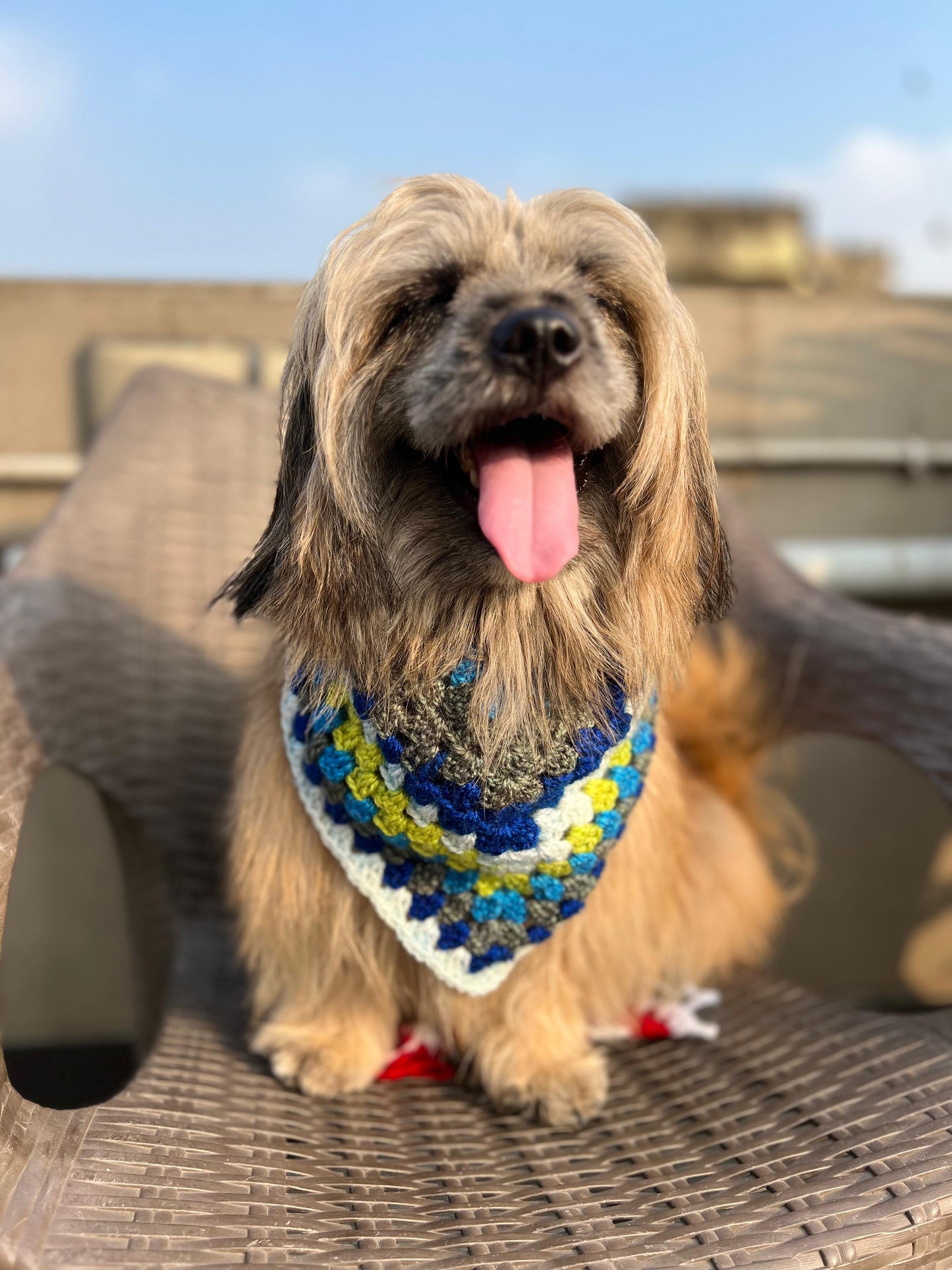 Colorful Bandana