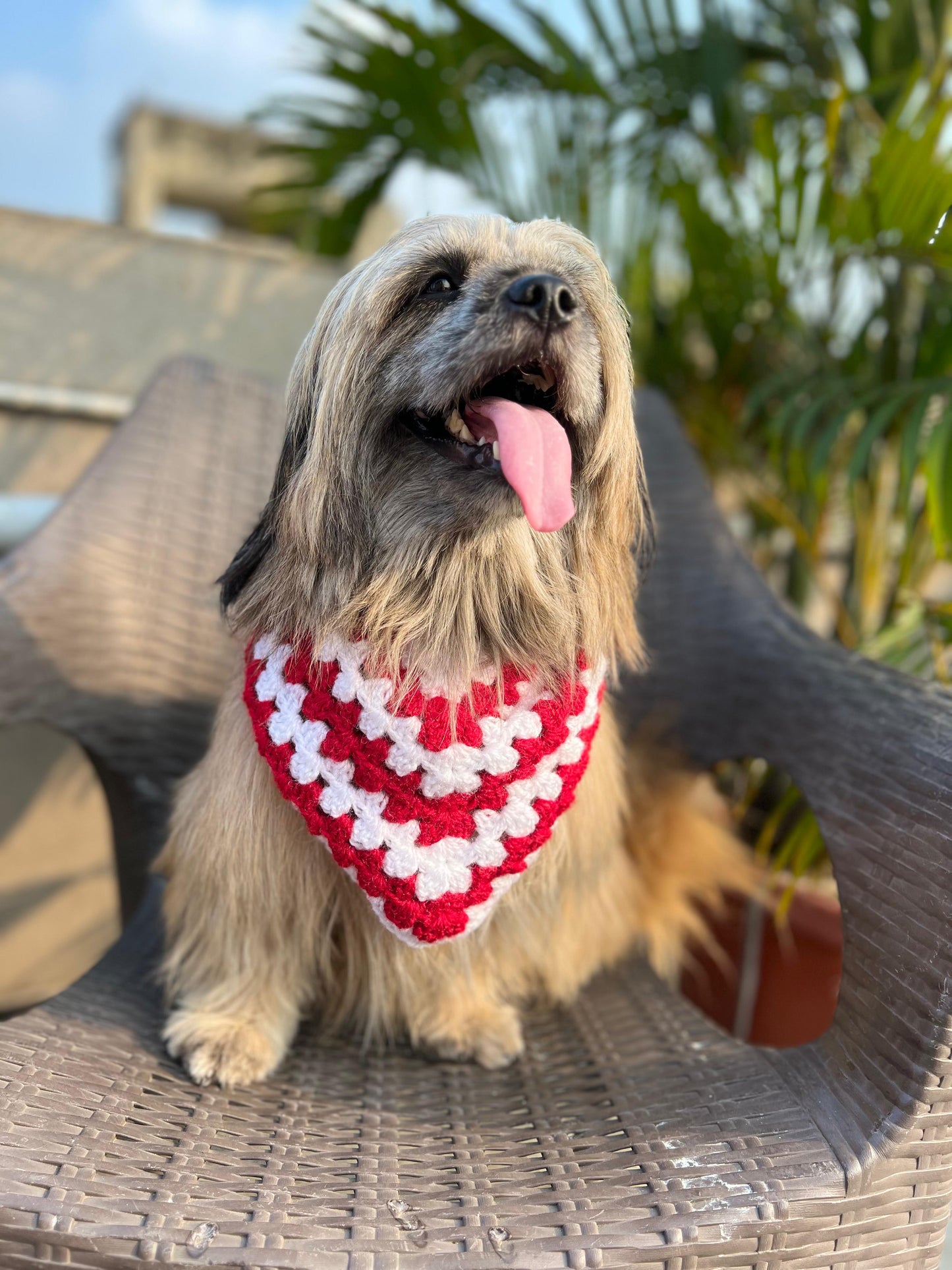 Red & White Bandana