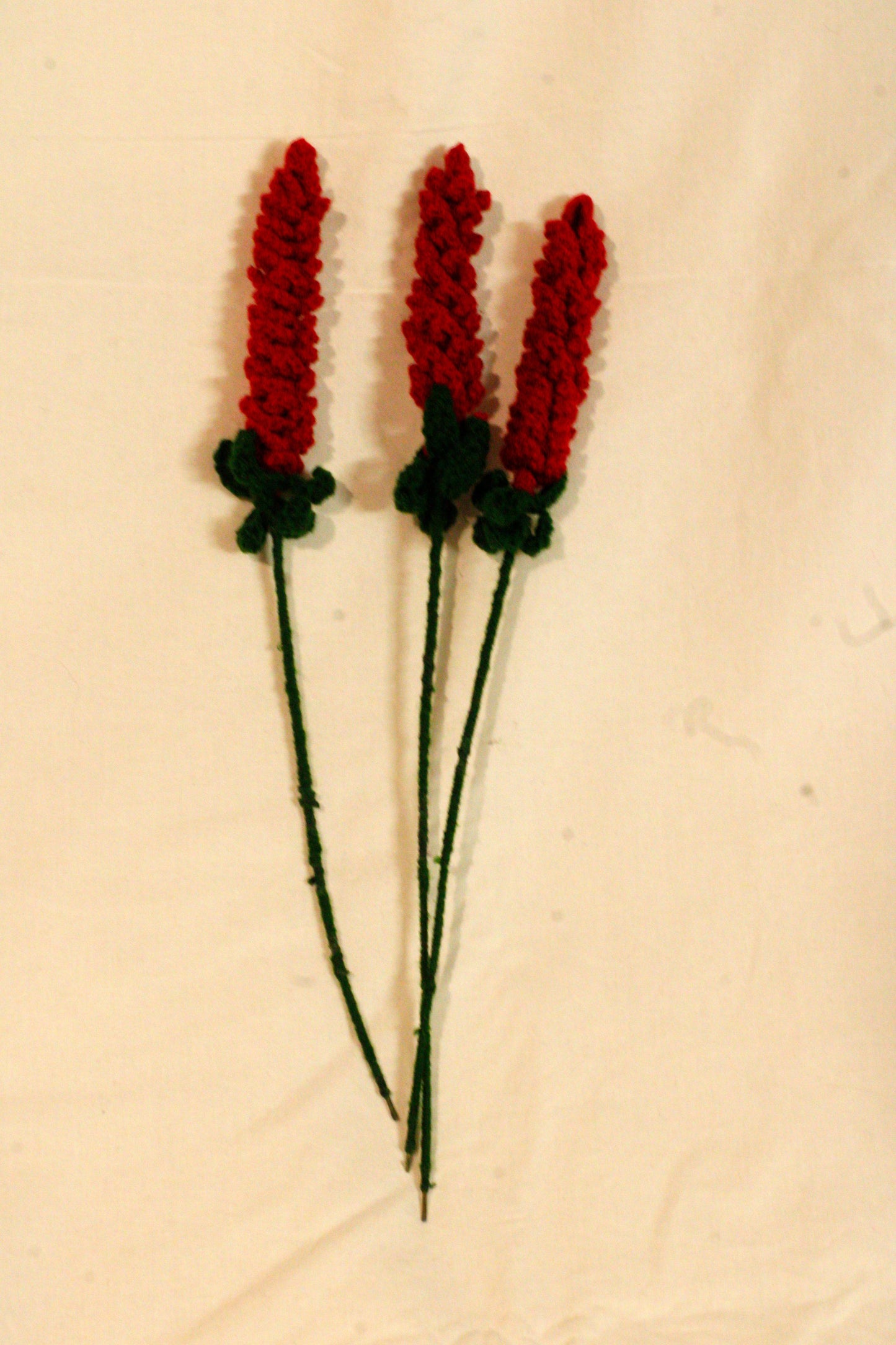 Red Lavender Flowers