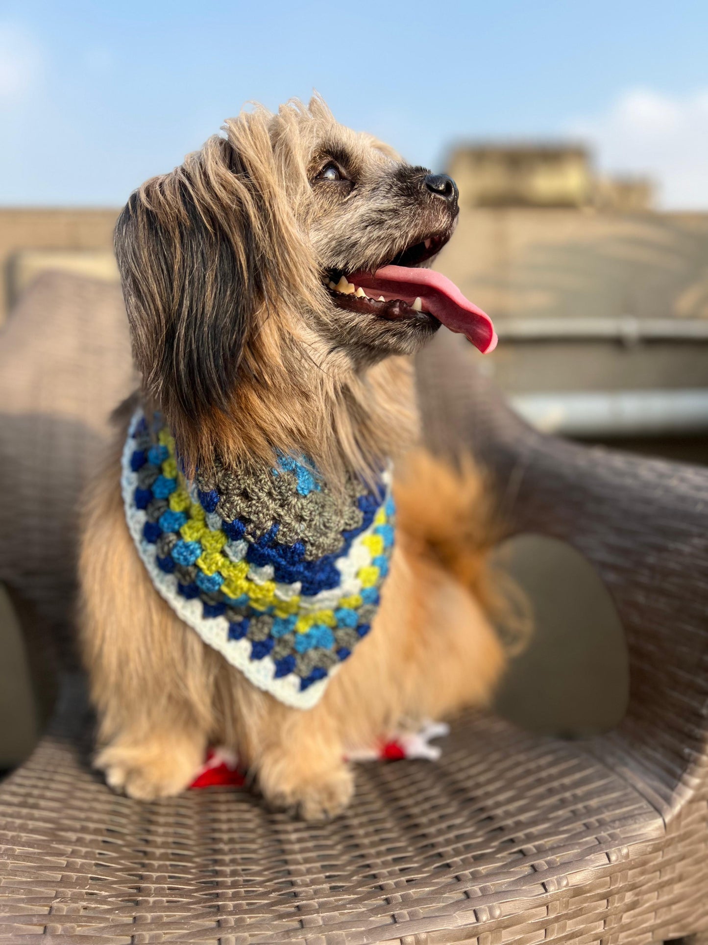 Colorful Bandana