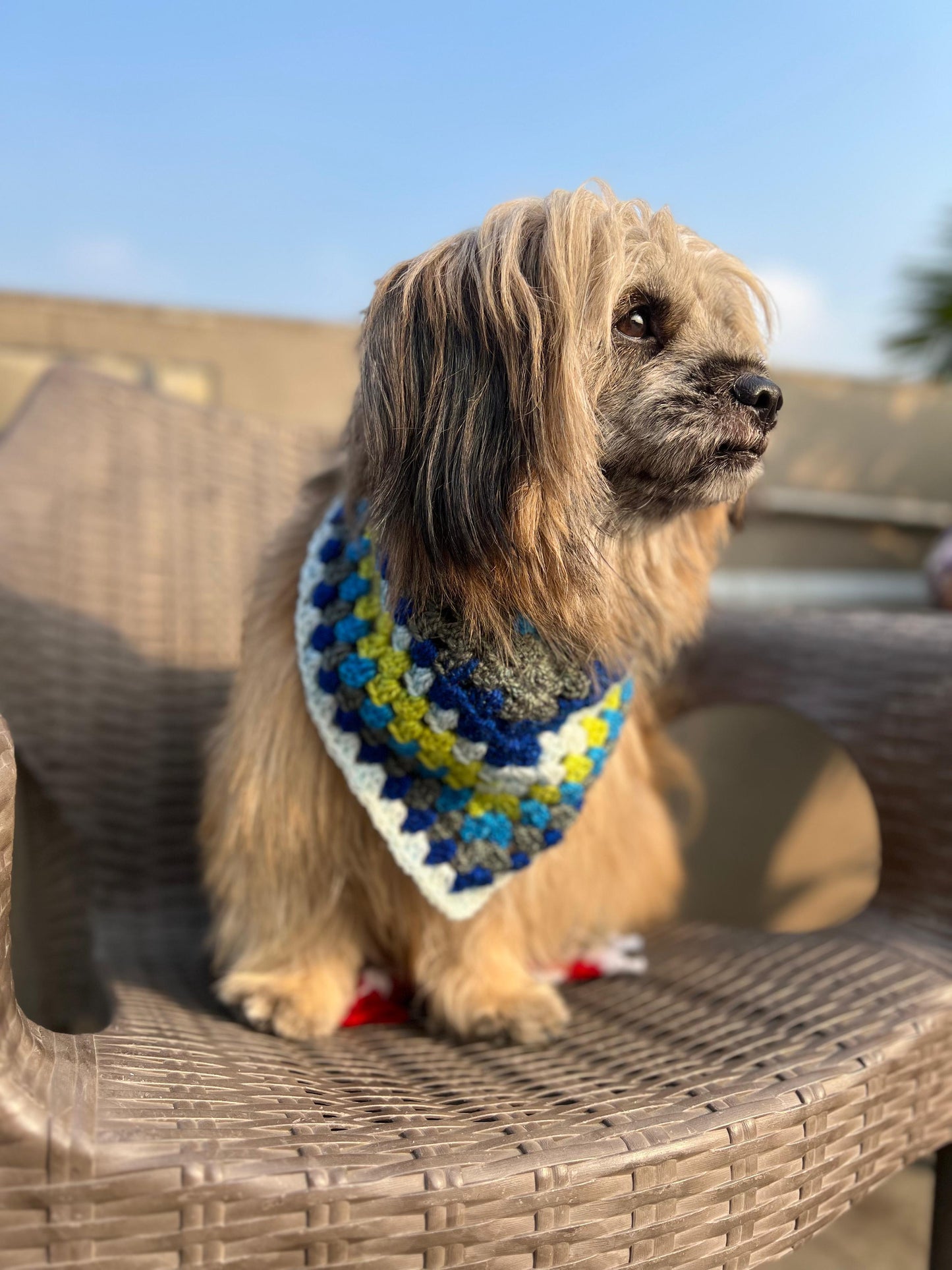Colorful Bandana