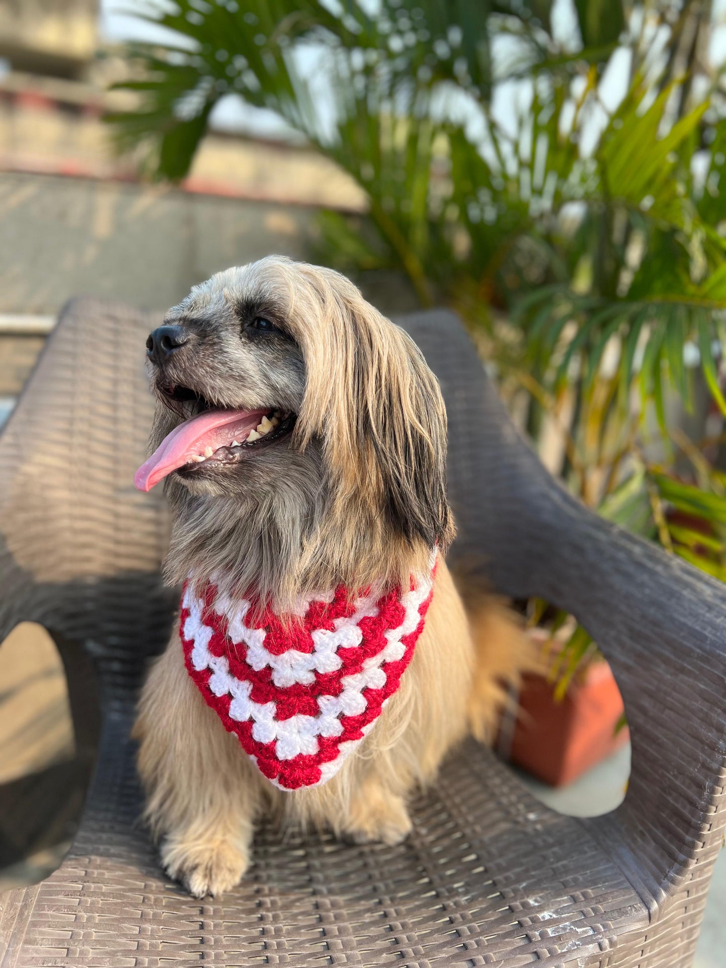 Red & White Bandana
