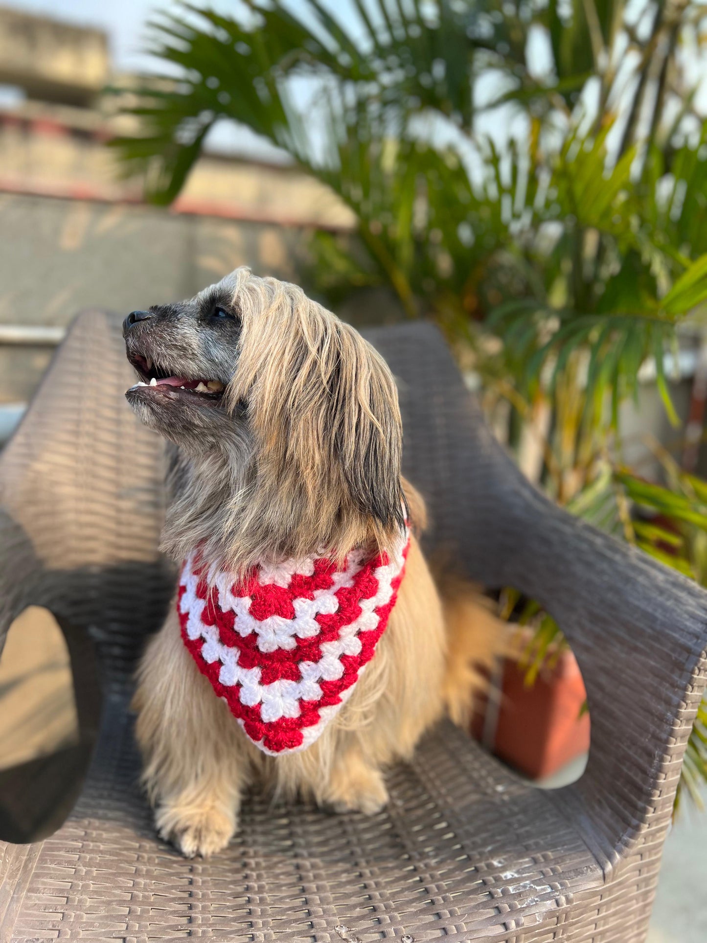 Red & White Bandana