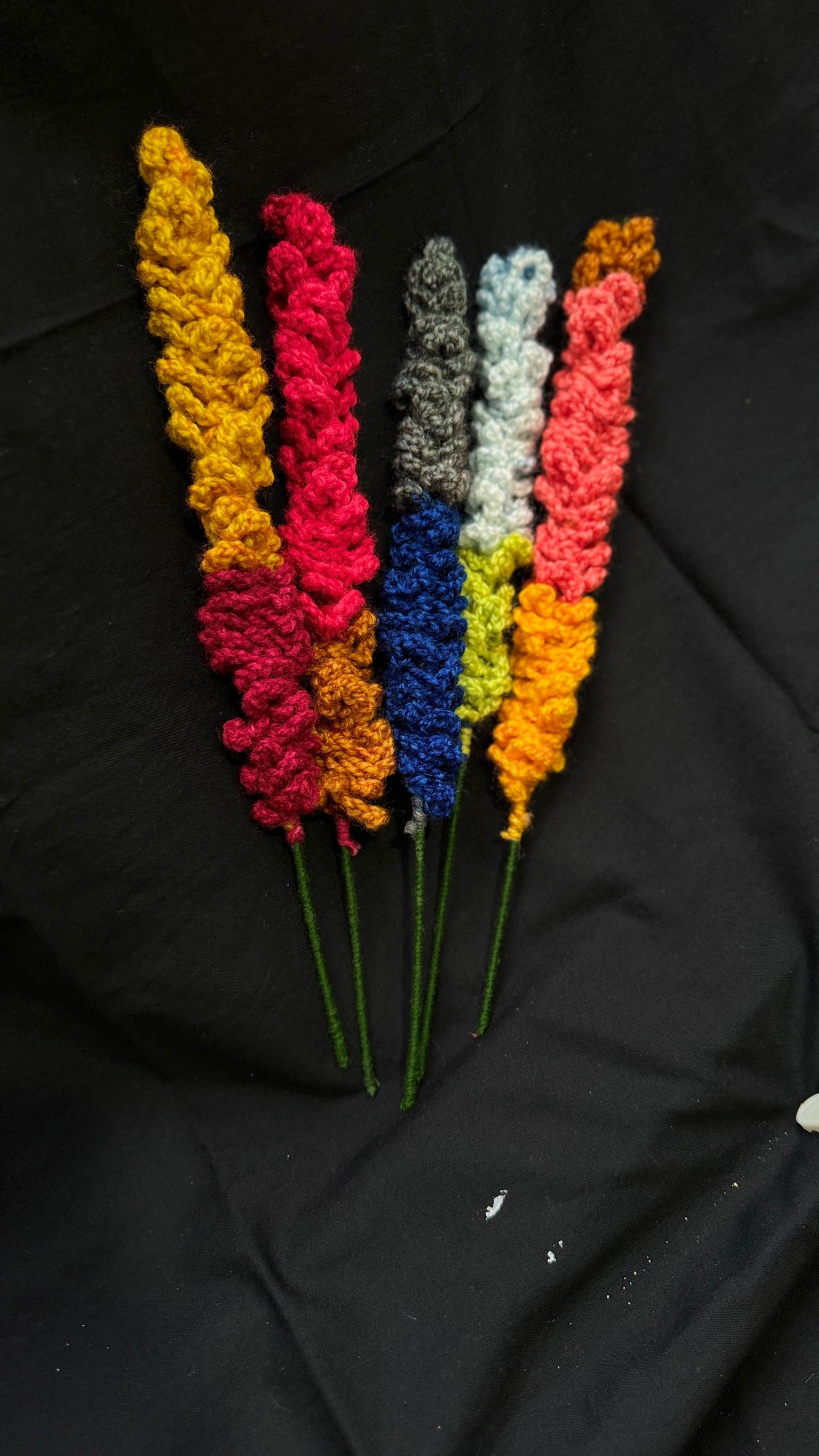 Colourful Lavender Flowers