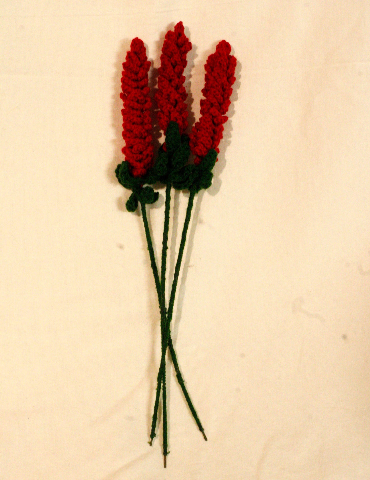 Red Lavender Flowers
