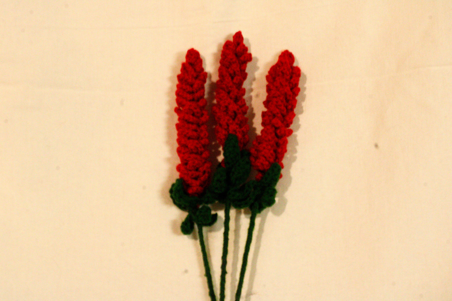 Red Lavender Flowers