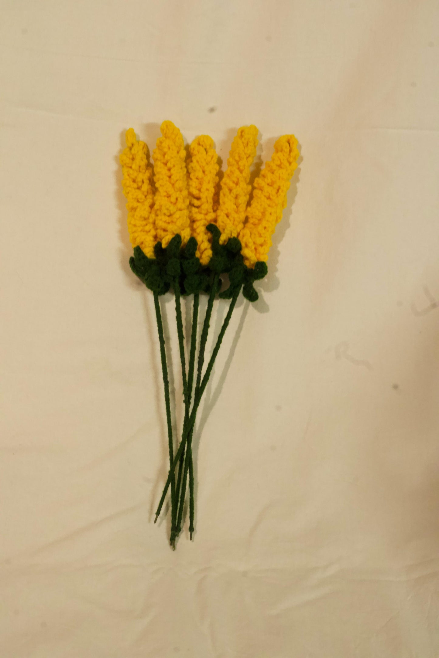 Yellow Lavender Flowers