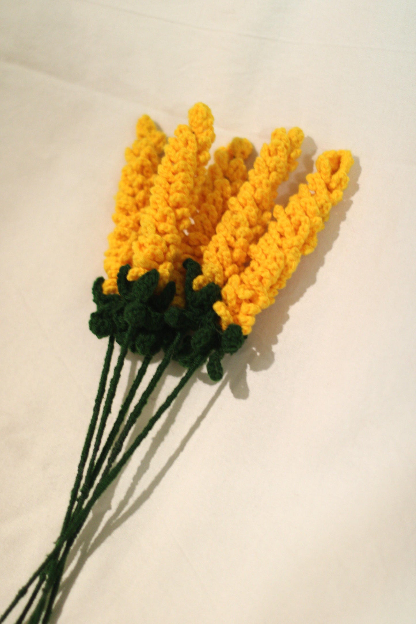 Yellow Lavender Flowers