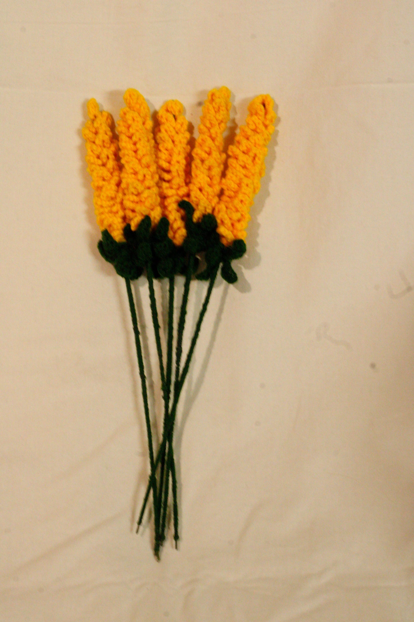 Yellow Lavender Flowers
